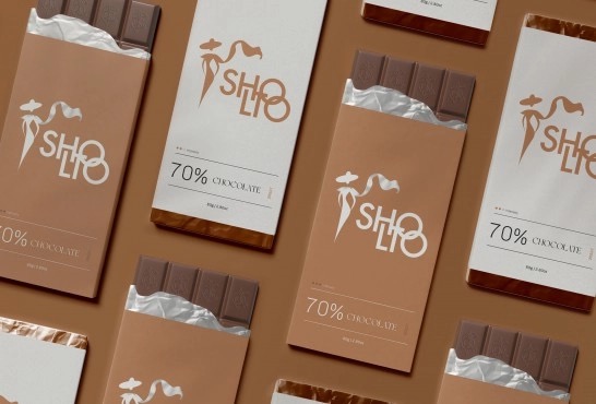 Фирменный стиль – работы студентов - 10