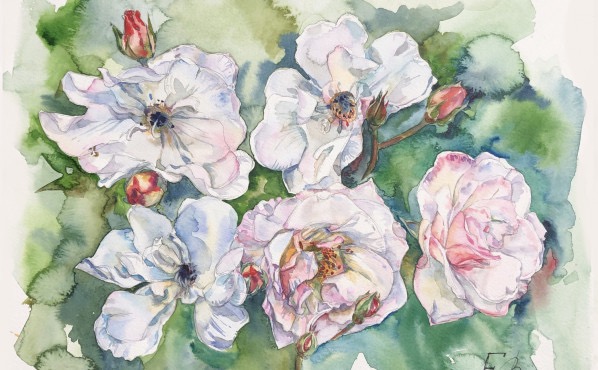 Профессиональная переподготовка по графическому дизайну – работы студентов - 39