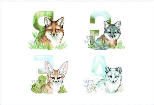 Профессиональная переподготовка по графическому дизайну – работы студентов - 49